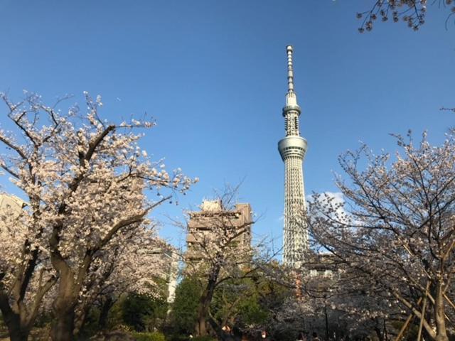 Sky Tree Inn Ⅱ（晴樹宿ⅱ） Tóquio Exterior foto