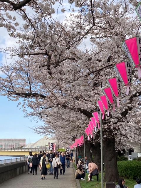 Sky Tree Inn Ⅱ（晴樹宿ⅱ） Tóquio Exterior foto